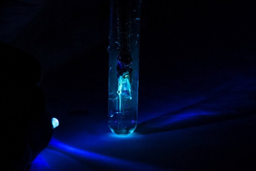 Adventní kalendář s pokusy 2025